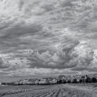 Wolkenstimmung am Feld