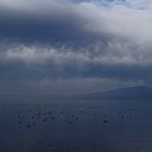 Wolkenstimmung am Zürichsee