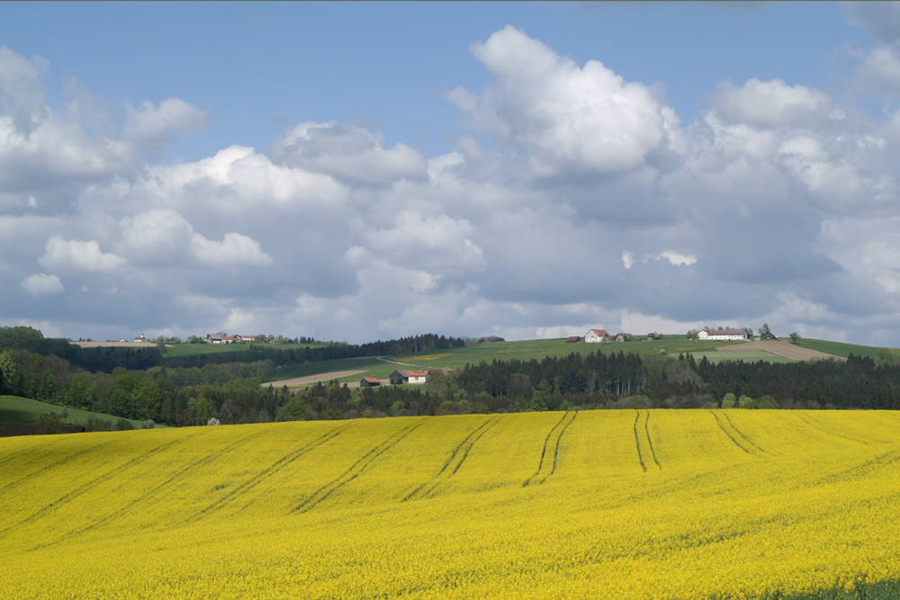 Wolkenstimmung - Feld und Natur