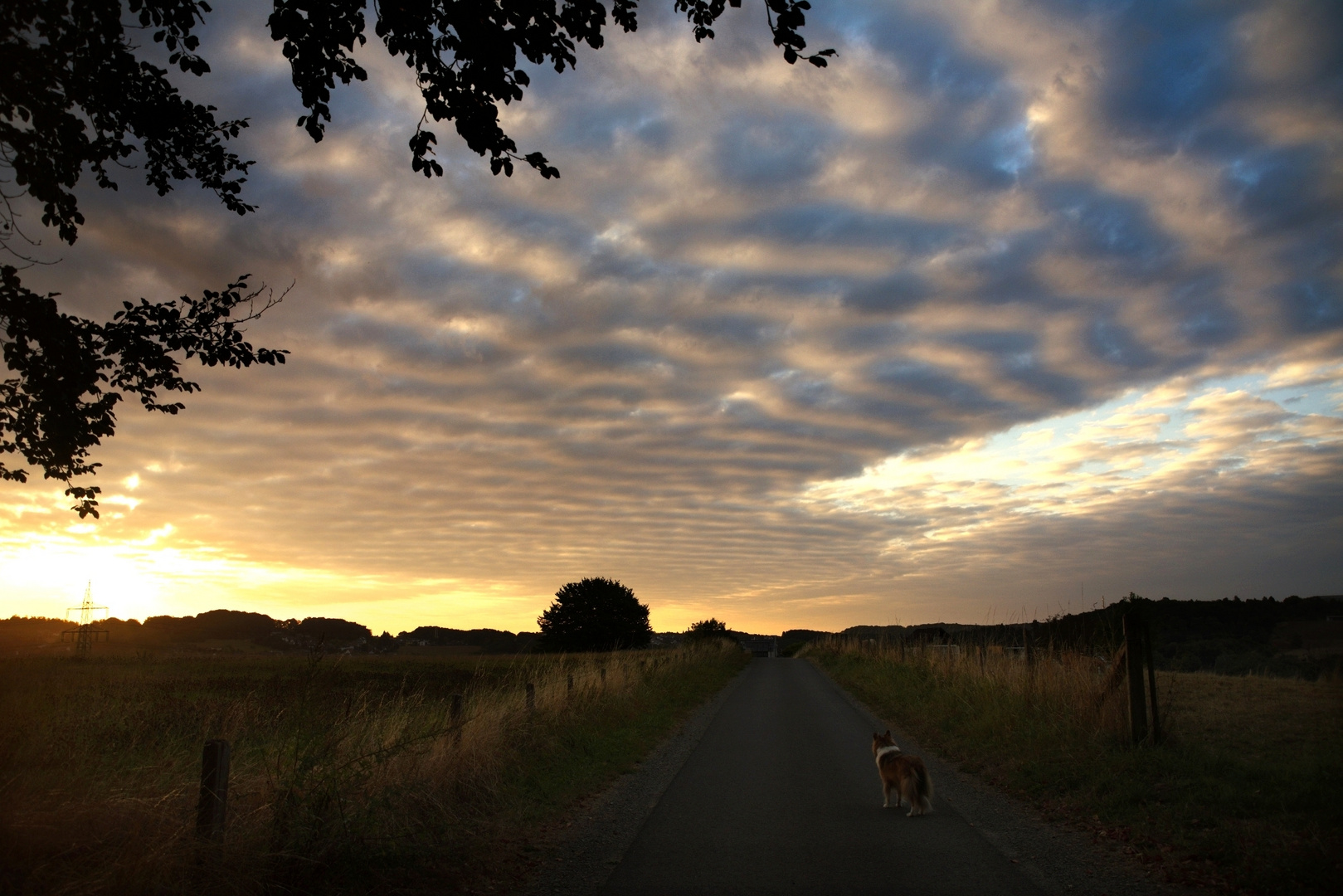 Wolkenstimmung früh morgens