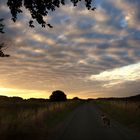 Wolkenstimmung früh morgens