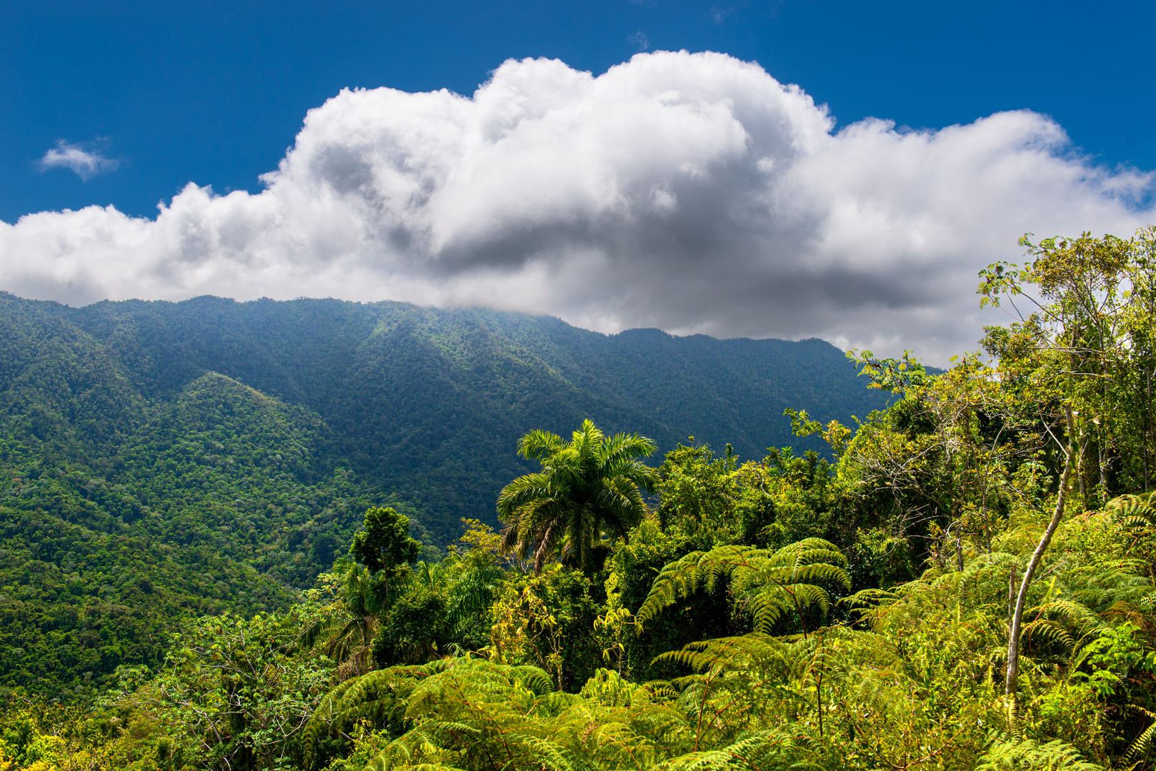 Wolkenstimmung in der Sierra Maestra