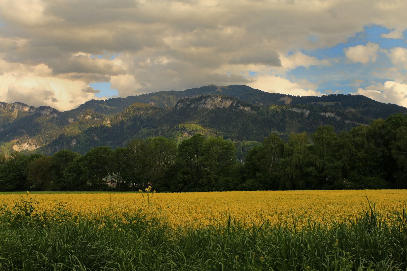 Wolkenstimmung in Mäder_IMG_4364