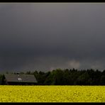 Wolkenstimmung über dem Rapsfeld