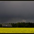 Wolkenstimmung über dem Rapsfeld