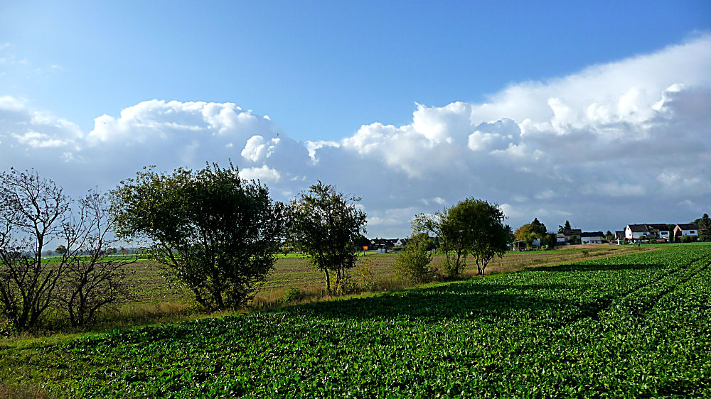 Wolkenstimmung über dem Vorgebirge bei Euskirchen