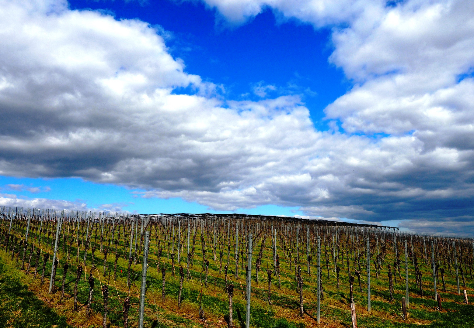 Wolkenstimmung über dem Weinberg