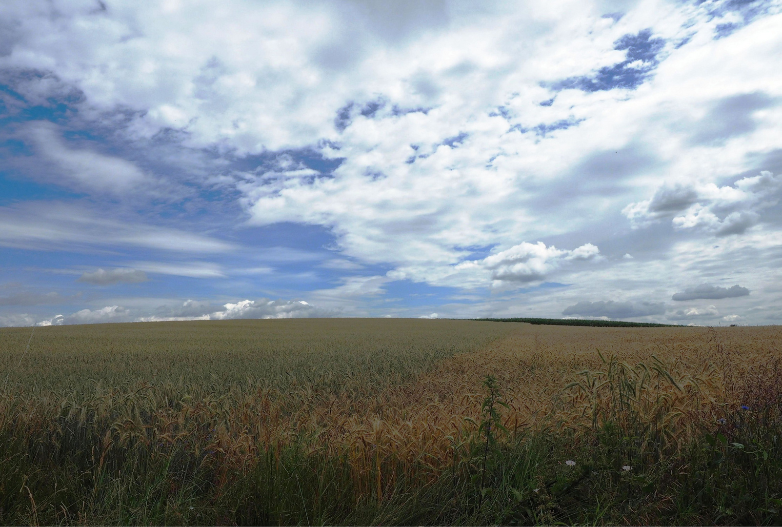 Wolkenstimmung über den Getreidefeldern