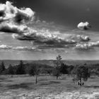 Wolkenstimmung zum schwarzweißen Freitag...