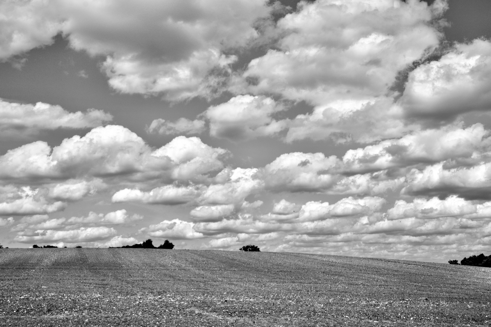 Wolkenstimmung(1)