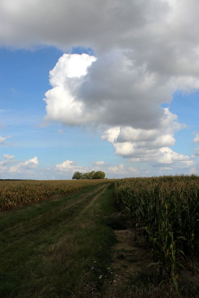 Wolkenstrasse direkt über dem Feldweg