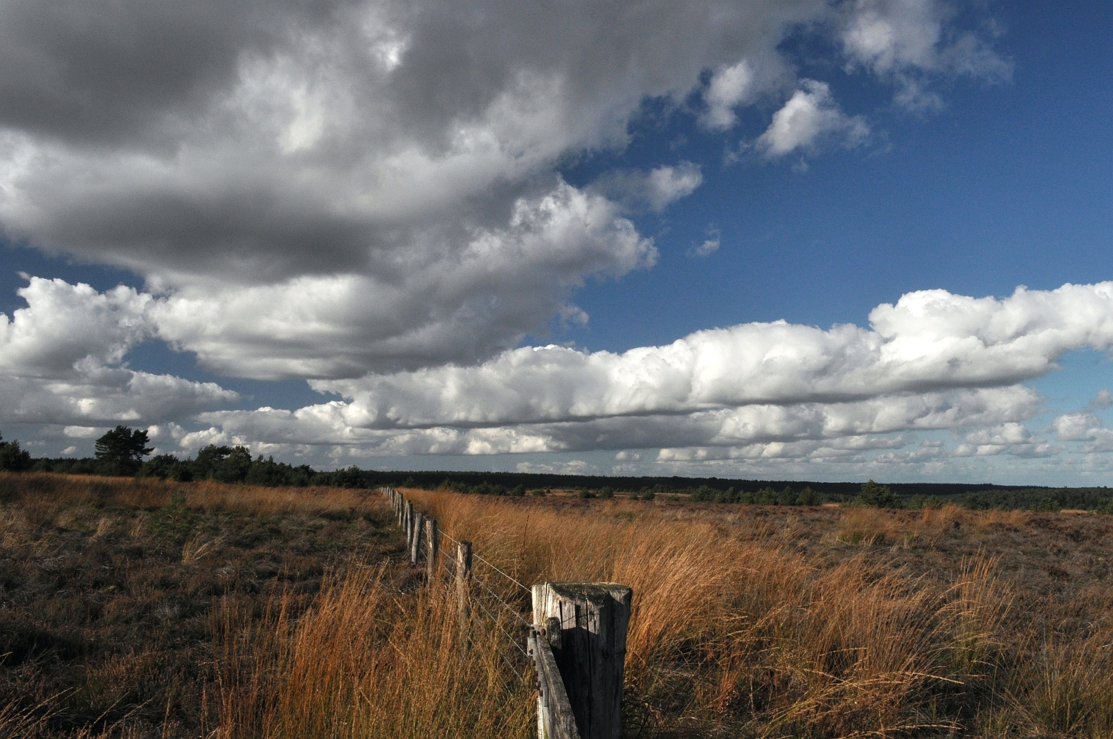 wolkenstraten (stratocumulus) boven Rozendaalseveld (cloud streets over Rozendaalseveld)