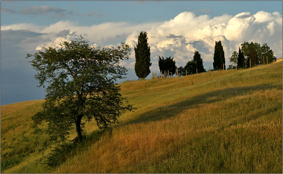 Wolkenstudie II