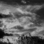 Wolkensturm (1)