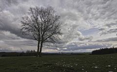 Wolkentag