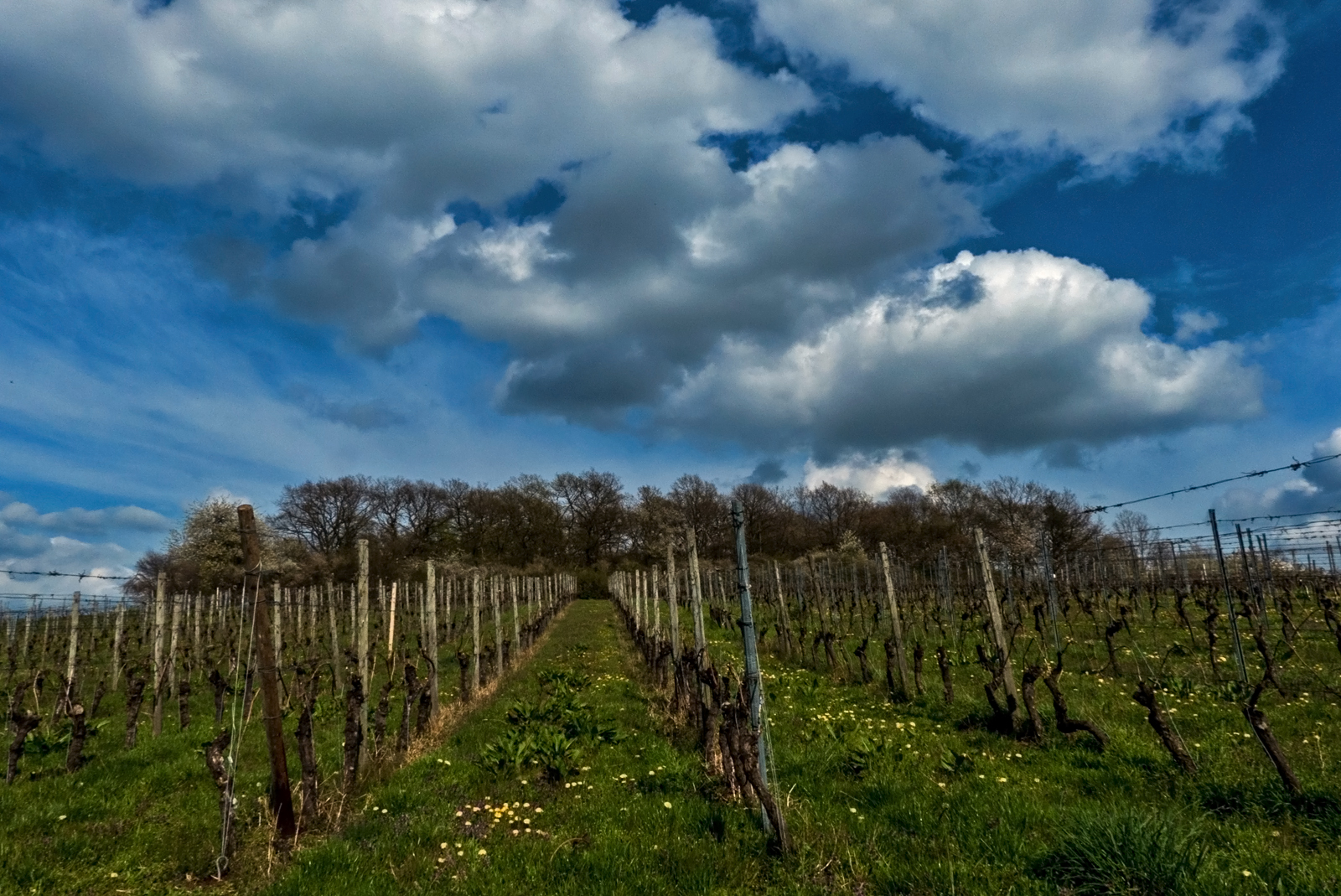 Wolkentag