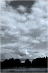 Wolkentag im Park