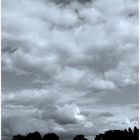 Wolkentag im Park