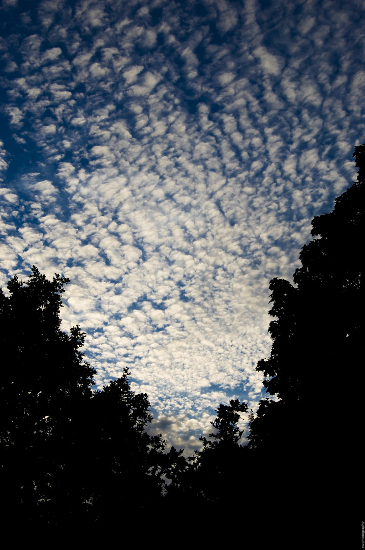 Wolkenteppich