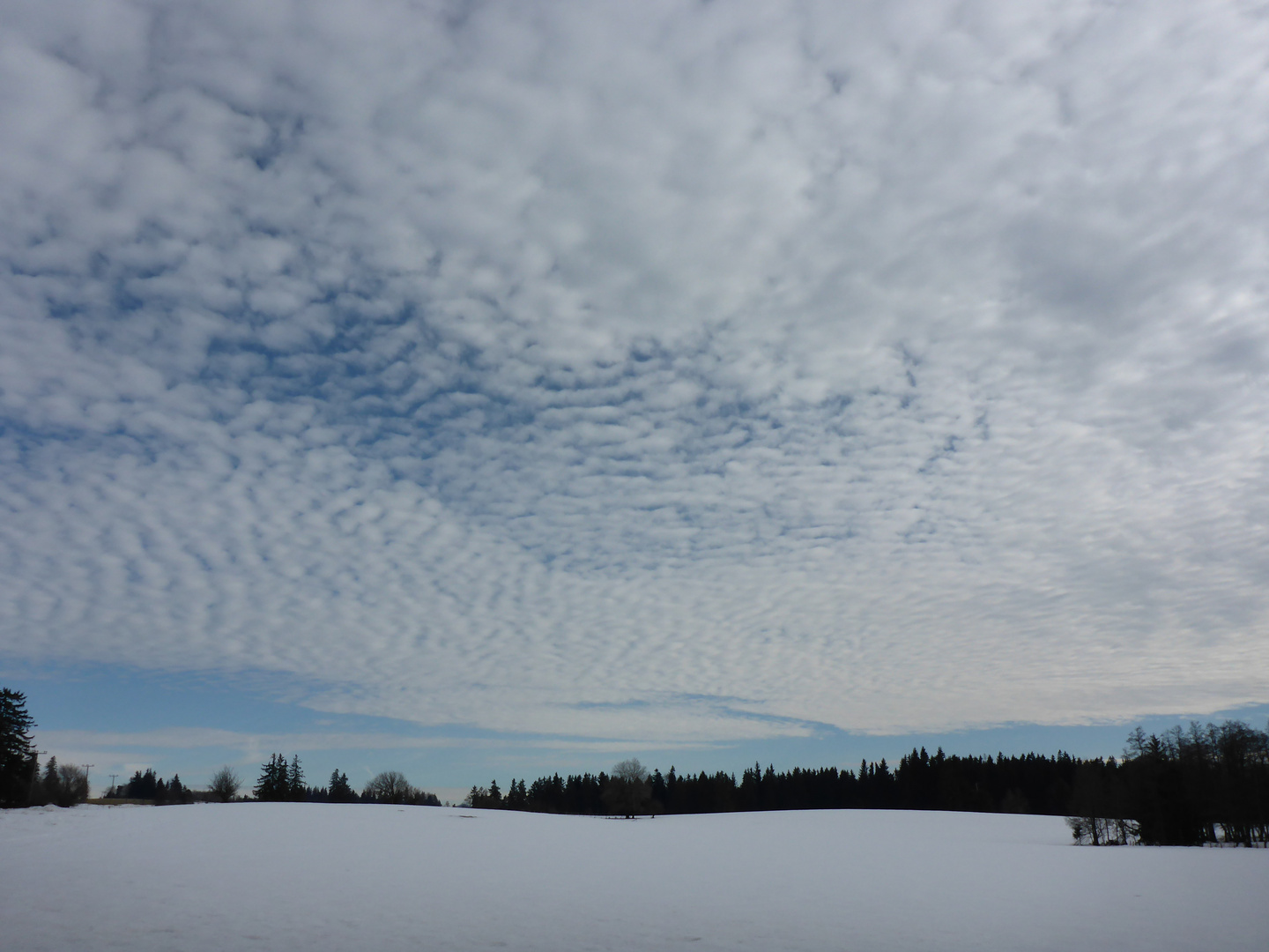 Wolkenteppich