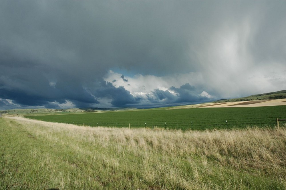 Wolkenträume 1