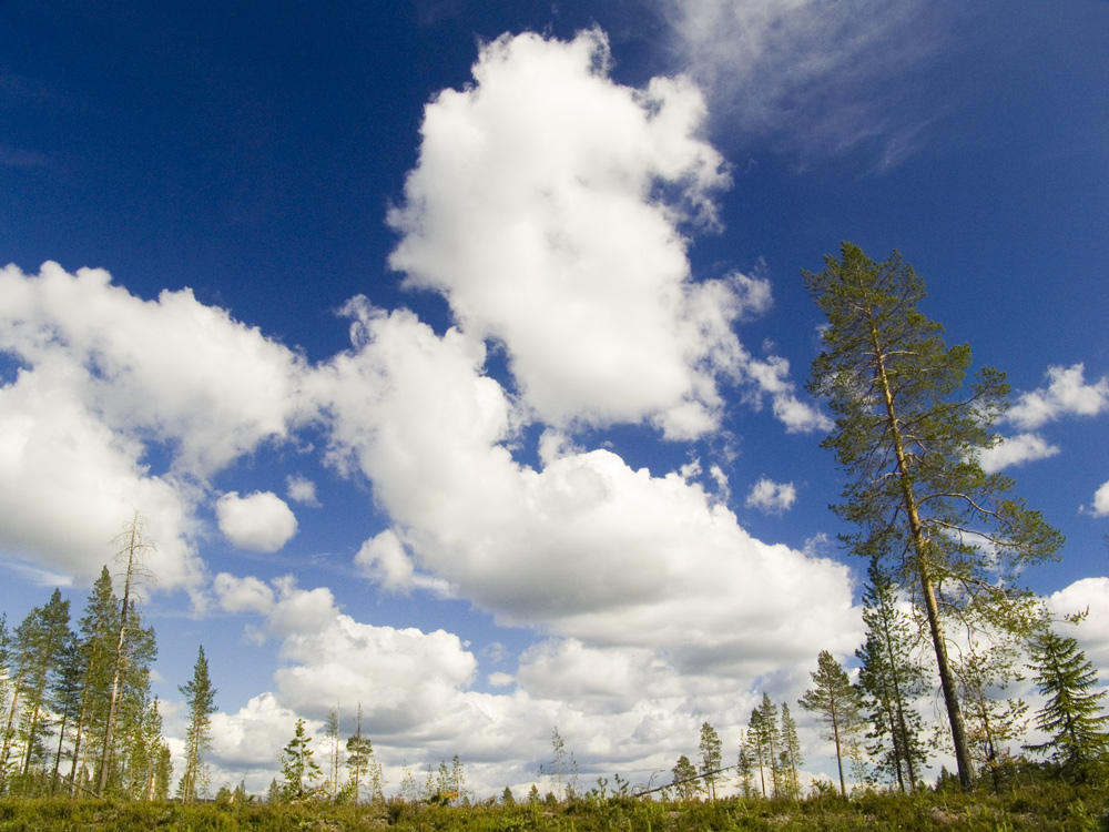 Wolkentreiben