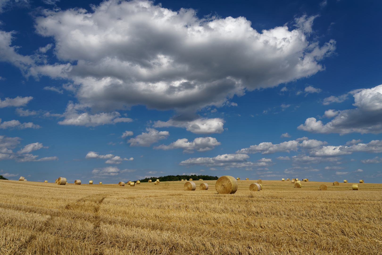 Wolkentreiben und Sommerrollen : Schönbach