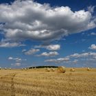 Wolkentreiben und Sommerrollen : Schönbach