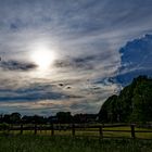 Wolkentürme im Gegenlicht