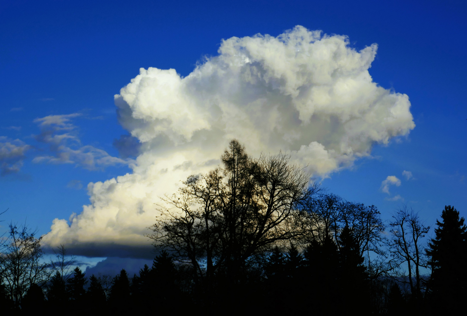 Wolkenungeheuer