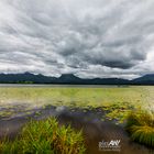 Wolkenverhangener Blick auf den Säuling