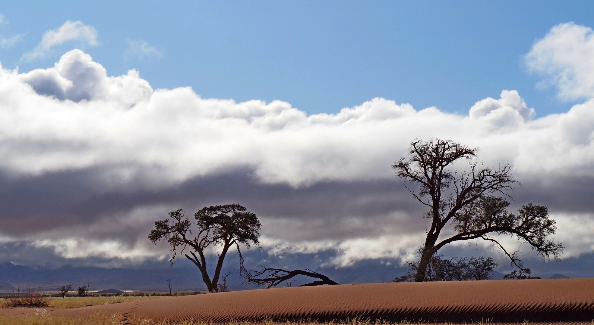 Wolkenverhangener Morgen im Süden von Namibia
