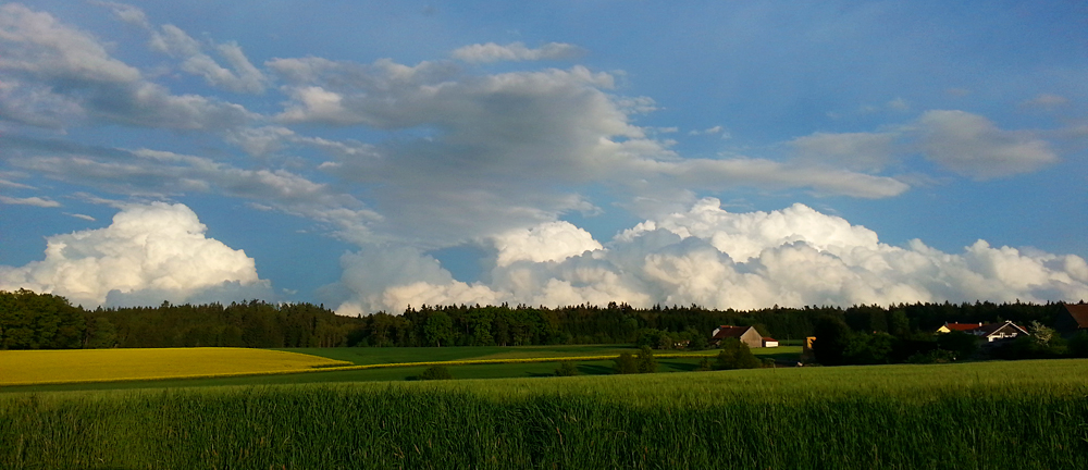 Wolkenvielfalt