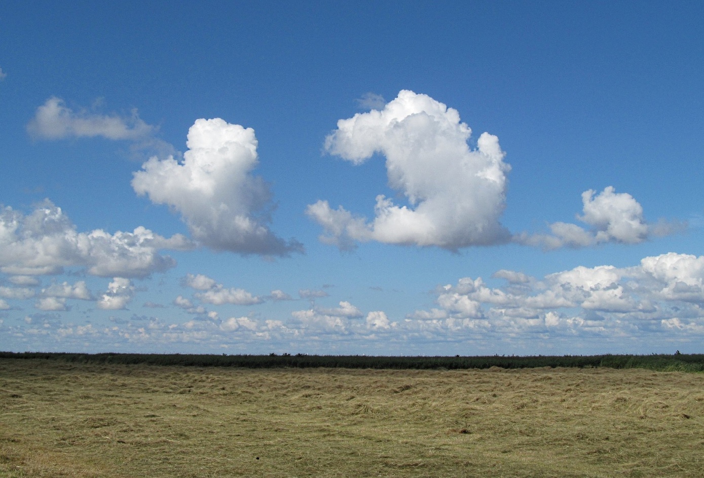 Wolkenvögel .......... über dem Meer bei Otterndorf