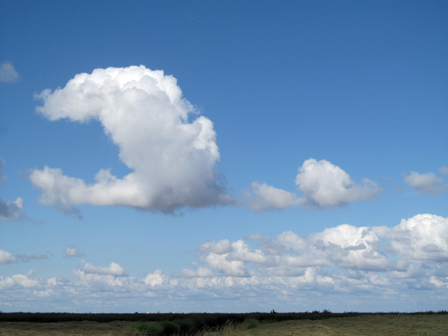 wolkenvogel..........