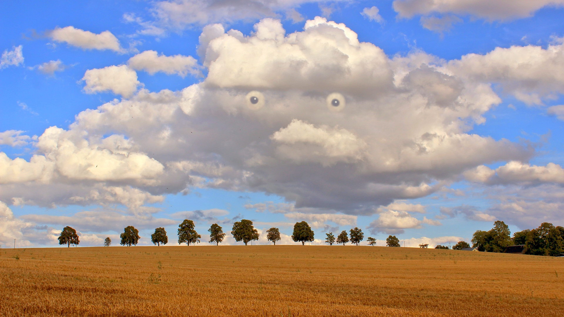 Wolkenvogel