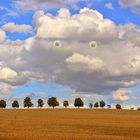 Wolkenvogel