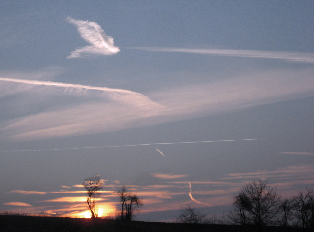 Wolkenvogel