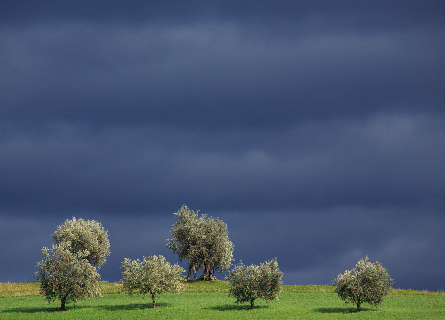 Wolkenwand