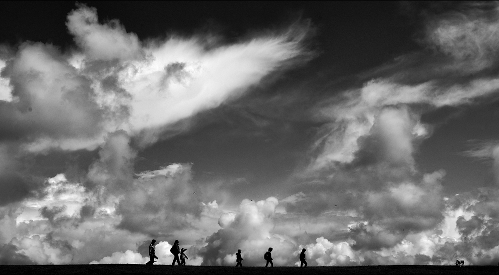 Wolkenwanderer von Kathy Petersen 