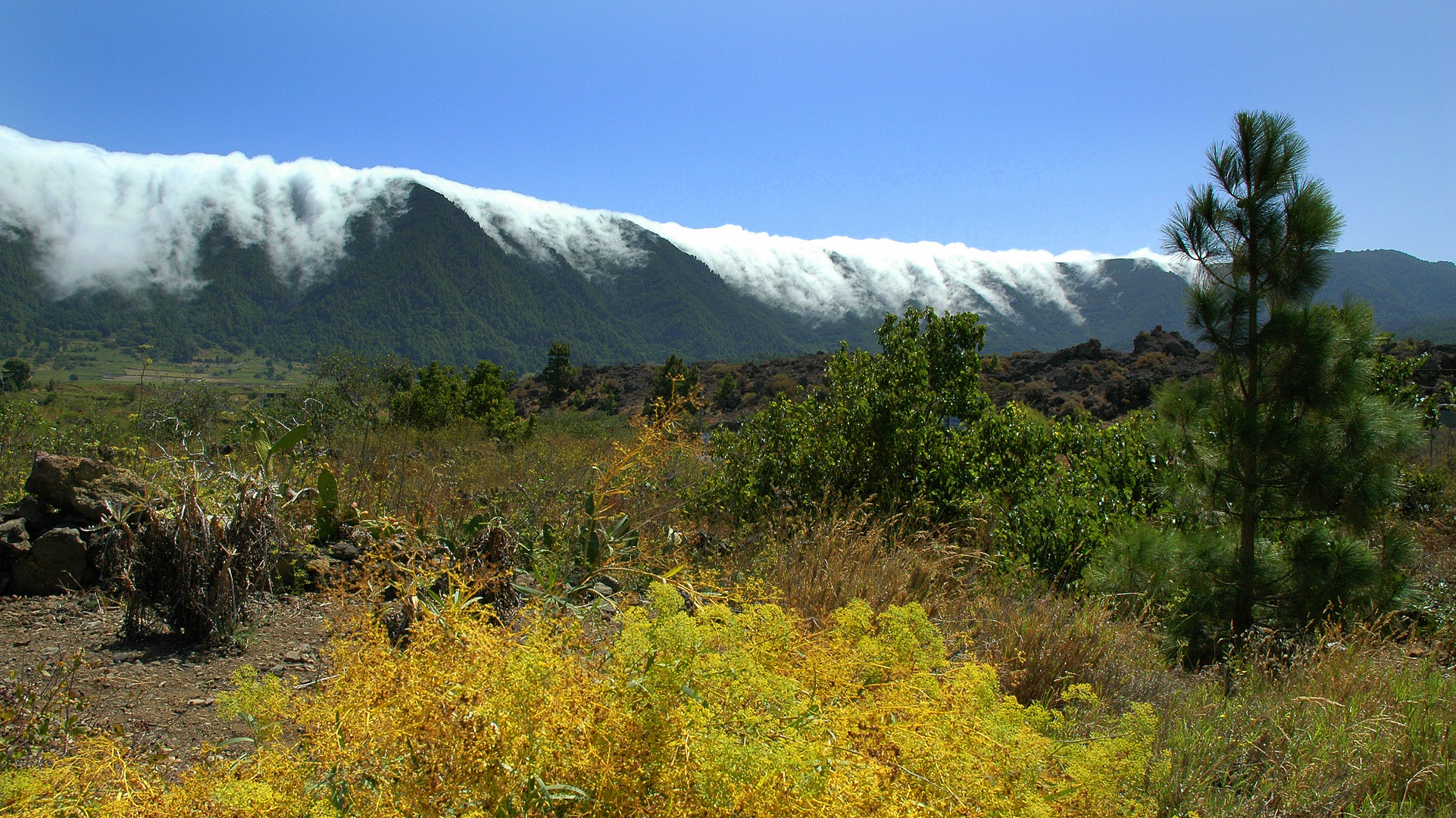 Wolkenwasserfall auf La Palma