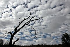 Wolkenwatte über dem Outback nahe Alice Springs