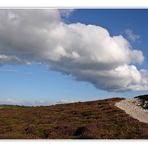 Wolken*Weg