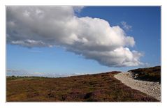 Wolken*Weg