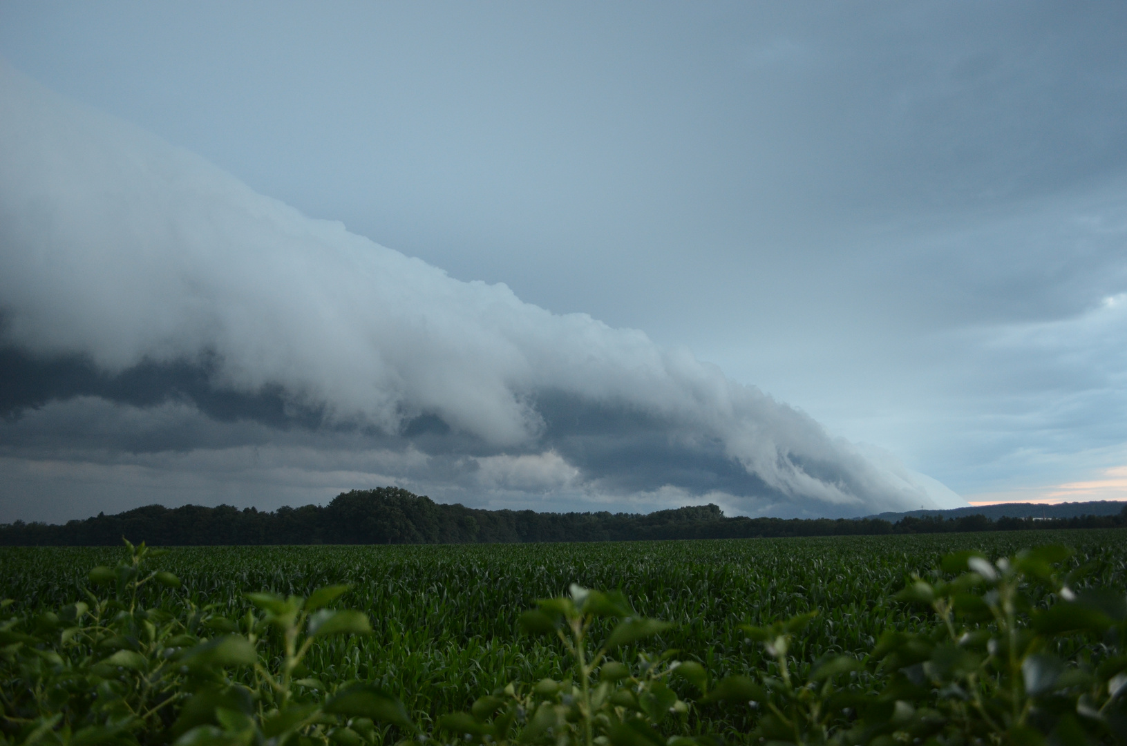 Wolkenwelle