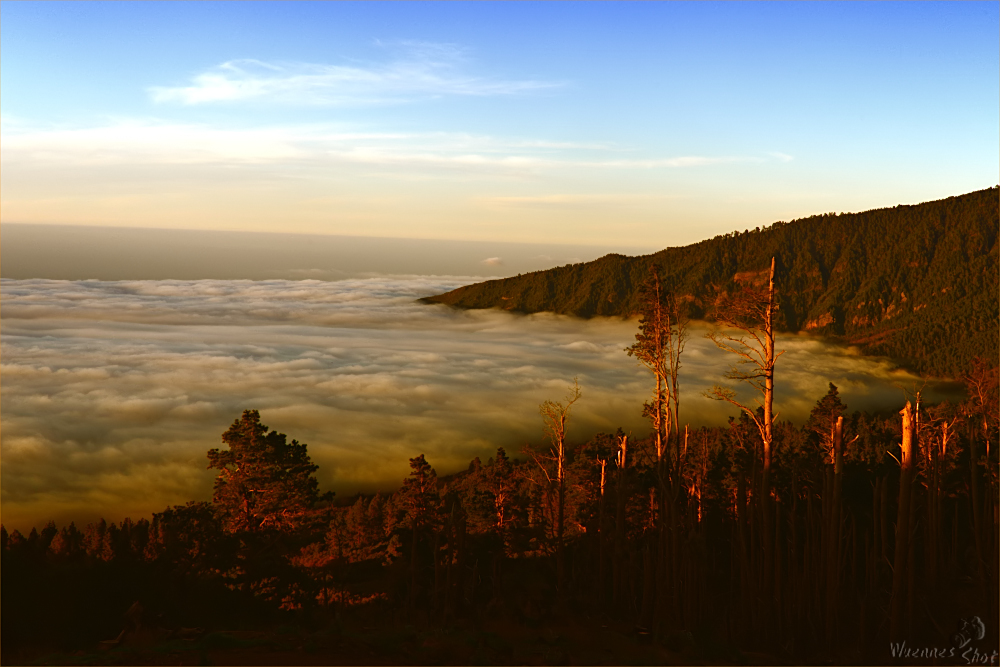 WolkenWelt