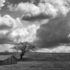 Wolkenwesen - da braut sich was