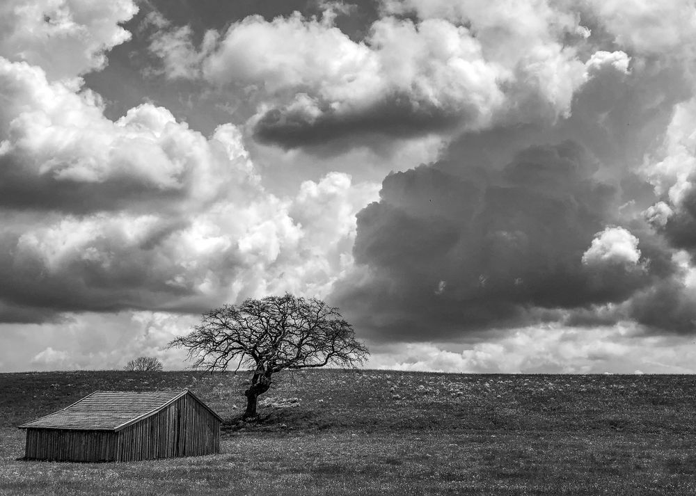 Wolkenwesen - da braut sich was