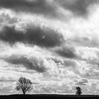 Wolkenwesen - kleine Landschaft1