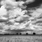 Wolkenwesen - kleine Landschaft2